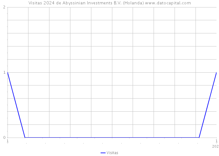 Visitas 2024 de Abyssinian Investments B.V. (Holanda) 