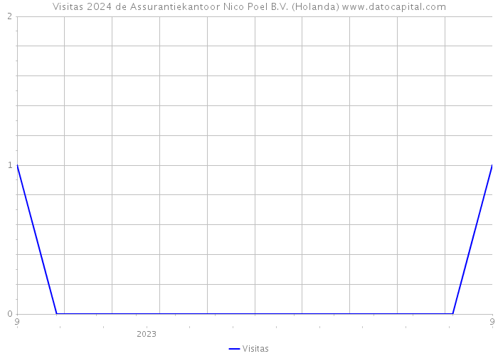 Visitas 2024 de Assurantiekantoor Nico Poel B.V. (Holanda) 