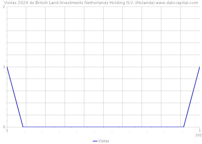Visitas 2024 de British Land Investments Netherlands Holding N.V. (Holanda) 