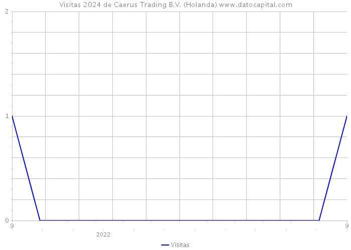 Visitas 2024 de Caerus Trading B.V. (Holanda) 