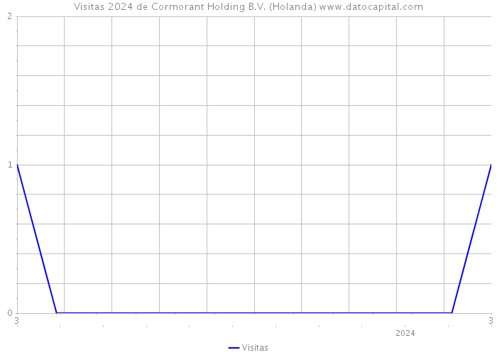 Visitas 2024 de Cormorant Holding B.V. (Holanda) 