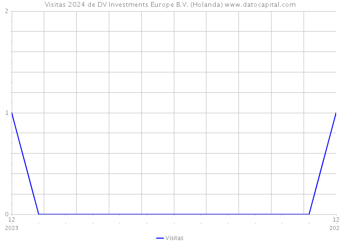 Visitas 2024 de DV Investments Europe B.V. (Holanda) 
