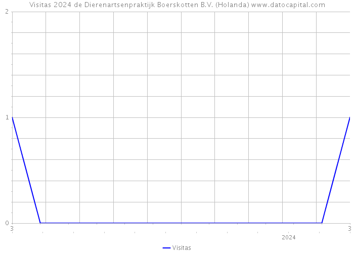 Visitas 2024 de Dierenartsenpraktijk Boerskotten B.V. (Holanda) 