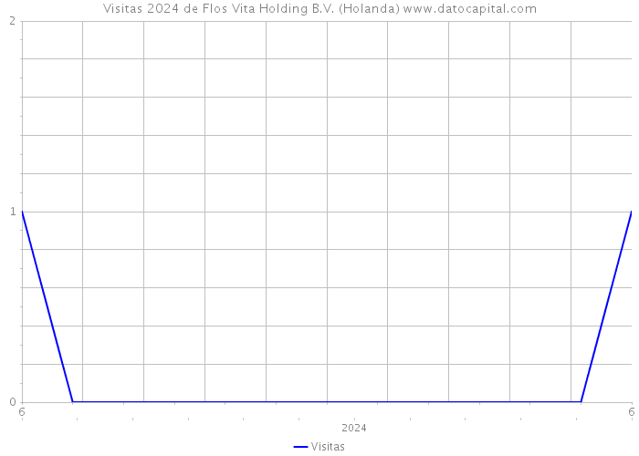Visitas 2024 de Flos Vita Holding B.V. (Holanda) 