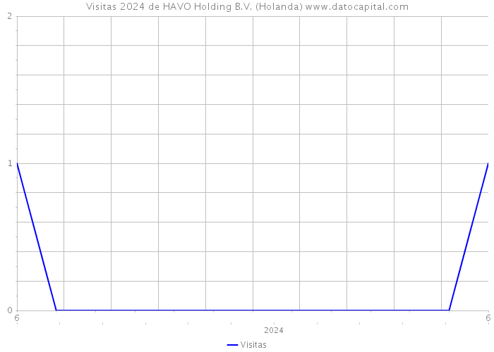 Visitas 2024 de HAVO Holding B.V. (Holanda) 