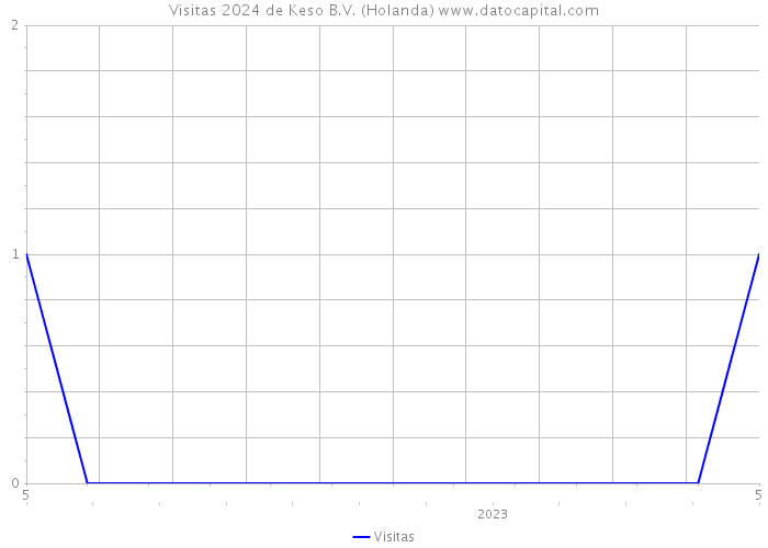 Visitas 2024 de Keso B.V. (Holanda) 