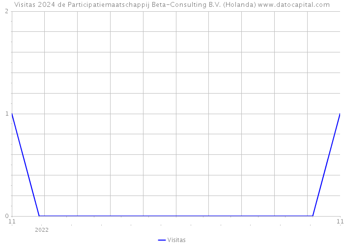 Visitas 2024 de Participatiemaatschappij Beta-Consulting B.V. (Holanda) 