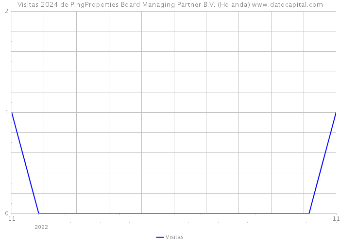 Visitas 2024 de PingProperties Board Managing Partner B.V. (Holanda) 