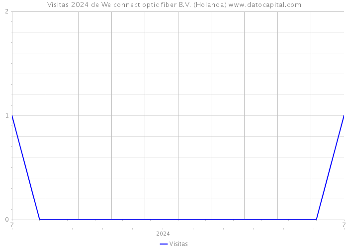 Visitas 2024 de We connect optic fiber B.V. (Holanda) 