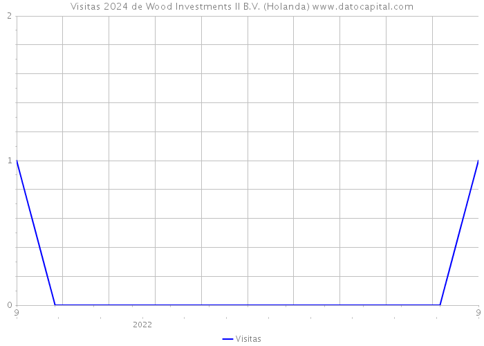 Visitas 2024 de Wood Investments II B.V. (Holanda) 