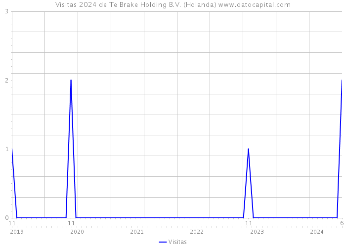 Visitas 2024 de Te Brake Holding B.V. (Holanda) 