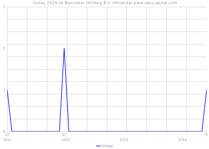 Visitas 2024 de Biersteker Holding B.V. (Holanda) 