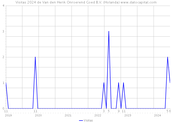 Visitas 2024 de Van den Herik Onroerend Goed B.V. (Holanda) 