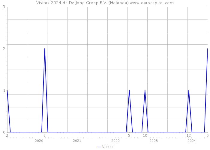 Visitas 2024 de De Jong Groep B.V. (Holanda) 