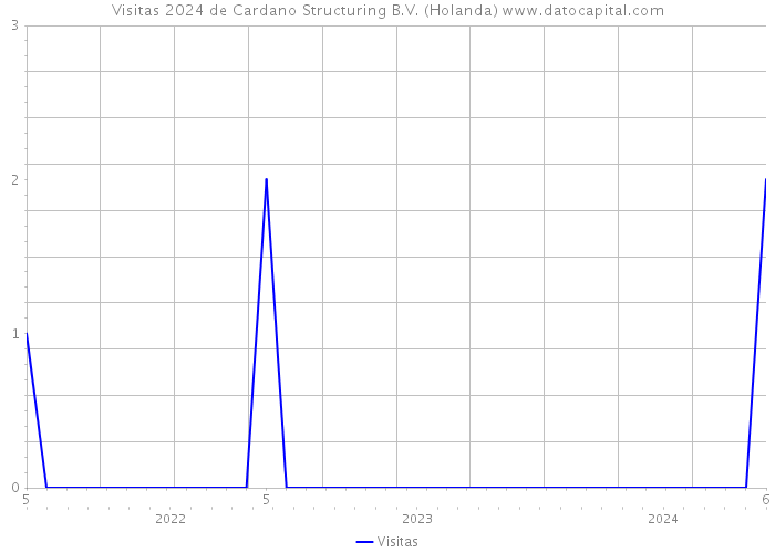 Visitas 2024 de Cardano Structuring B.V. (Holanda) 