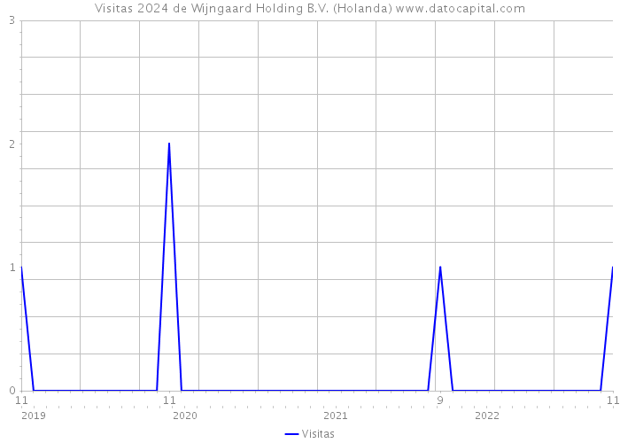 Visitas 2024 de Wijngaard Holding B.V. (Holanda) 