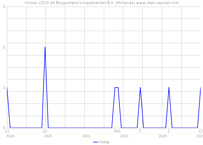 Visitas 2024 de Brugemann's Kaashandel B.V. (Holanda) 