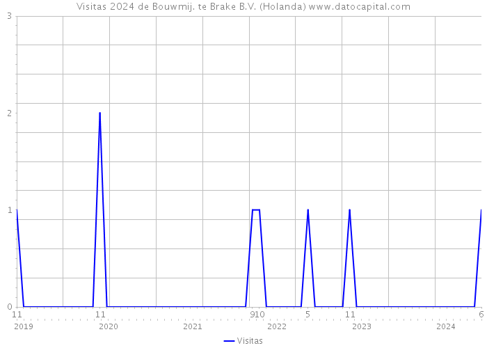 Visitas 2024 de Bouwmij. te Brake B.V. (Holanda) 