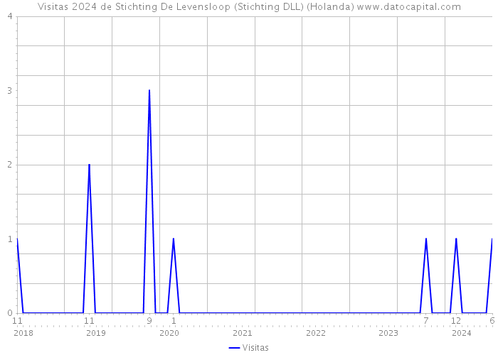 Visitas 2024 de Stichting De Levensloop (Stichting DLL) (Holanda) 
