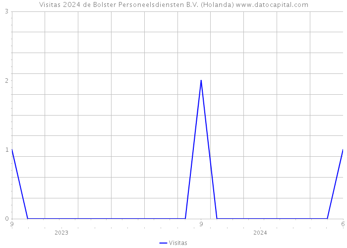 Visitas 2024 de Bolster Personeelsdiensten B.V. (Holanda) 