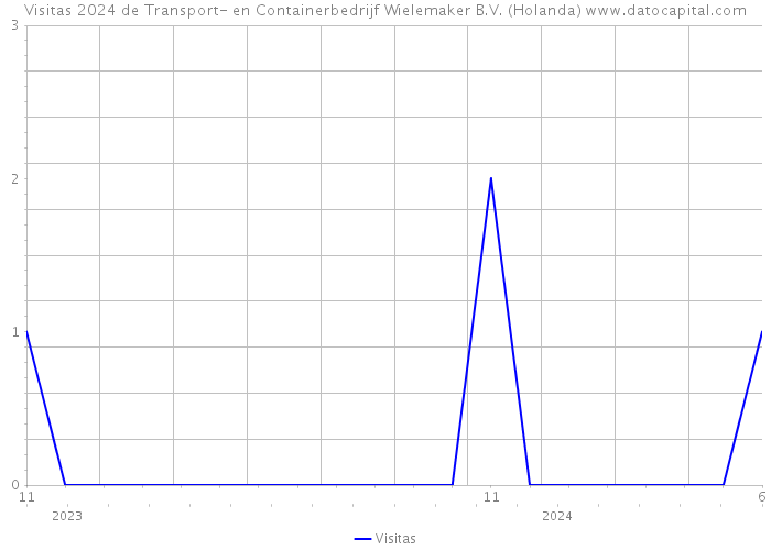 Visitas 2024 de Transport- en Containerbedrijf Wielemaker B.V. (Holanda) 