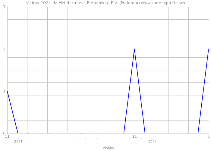 Visitas 2024 de Heijderhoeve Binnenweg B.V. (Holanda) 