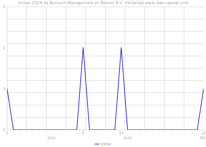 Visitas 2024 de Burbach Management en Beheer B.V. (Holanda) 