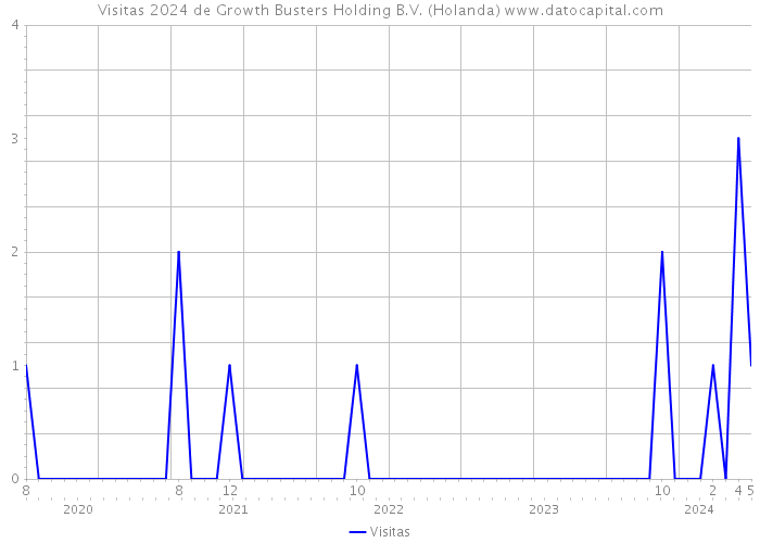 Visitas 2024 de Growth Busters Holding B.V. (Holanda) 