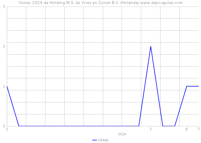 Visitas 2024 de Holding M.S. de Vries en Zonen B.V. (Holanda) 