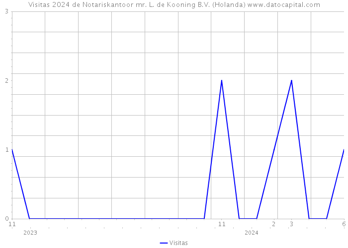 Visitas 2024 de Notariskantoor mr. L. de Kooning B.V. (Holanda) 