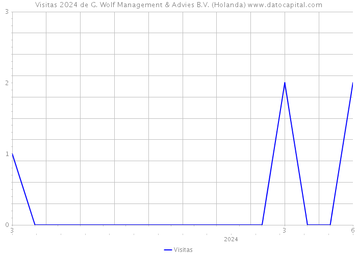 Visitas 2024 de G. Wolf Management & Advies B.V. (Holanda) 