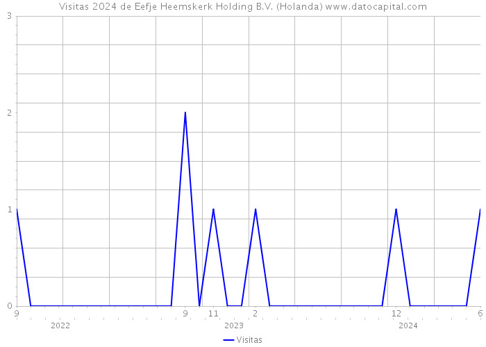 Visitas 2024 de Eefje Heemskerk Holding B.V. (Holanda) 