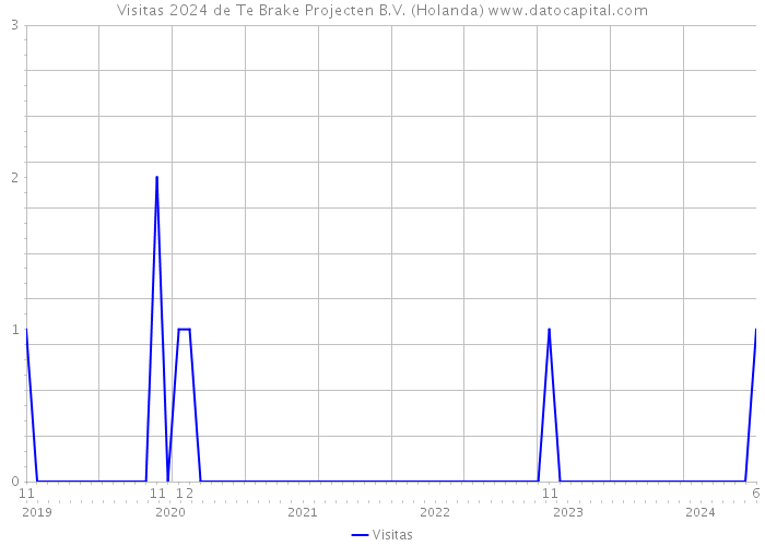 Visitas 2024 de Te Brake Projecten B.V. (Holanda) 