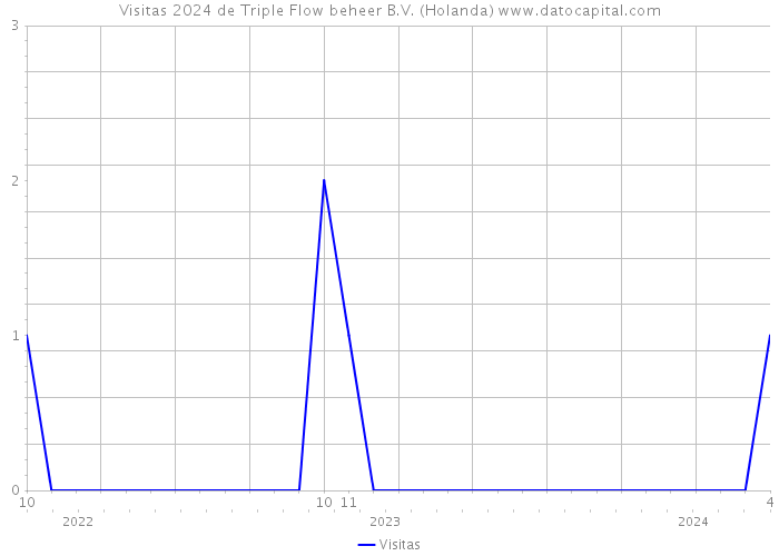 Visitas 2024 de Triple Flow beheer B.V. (Holanda) 