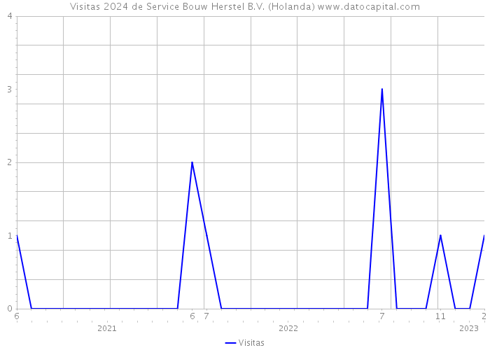 Visitas 2024 de Service Bouw Herstel B.V. (Holanda) 