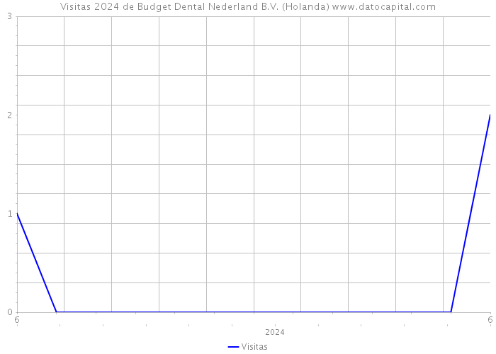 Visitas 2024 de Budget Dental Nederland B.V. (Holanda) 