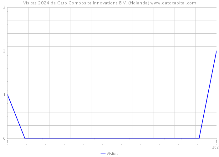 Visitas 2024 de Cato Composite Innovations B.V. (Holanda) 