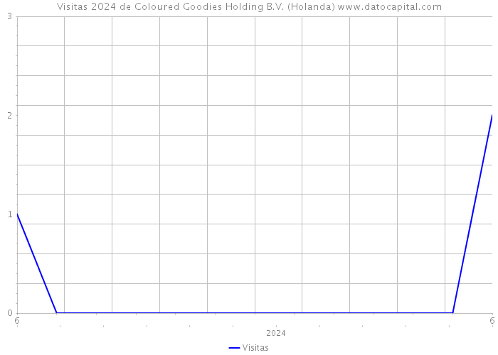 Visitas 2024 de Coloured Goodies Holding B.V. (Holanda) 