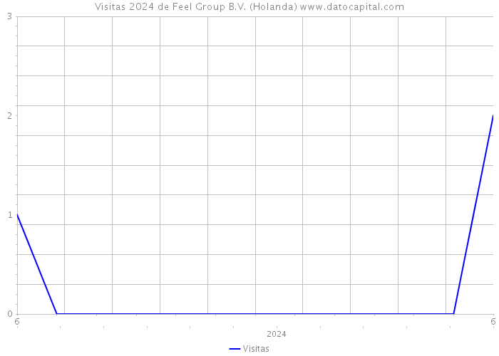 Visitas 2024 de Feel Group B.V. (Holanda) 