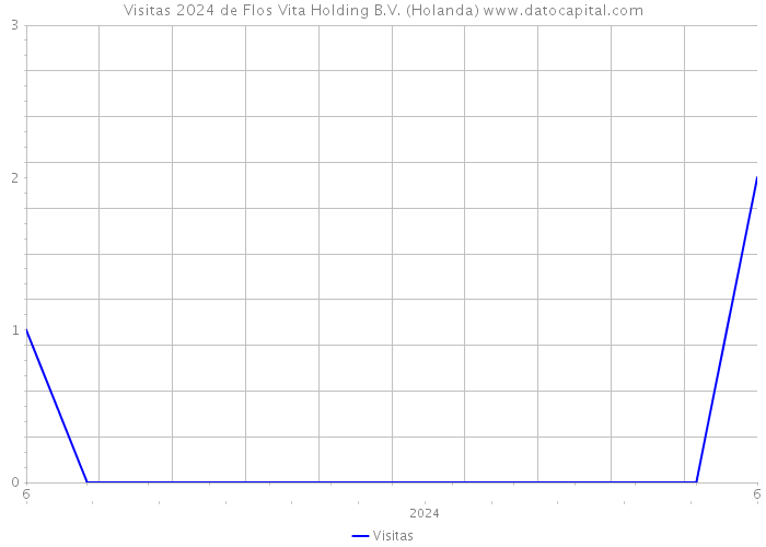 Visitas 2024 de Flos Vita Holding B.V. (Holanda) 
