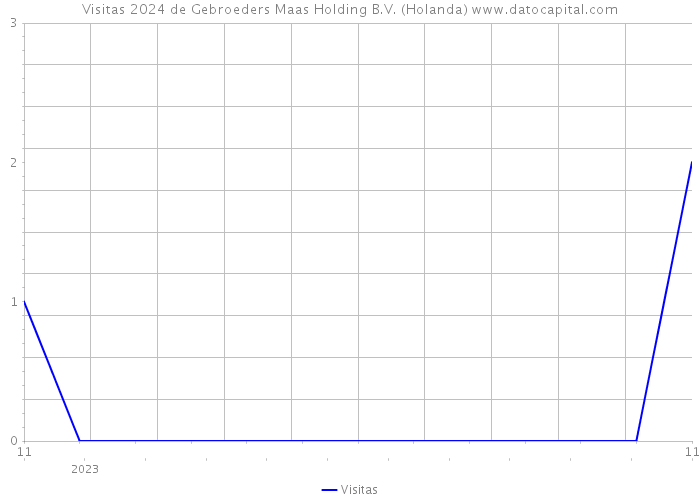 Visitas 2024 de Gebroeders Maas Holding B.V. (Holanda) 