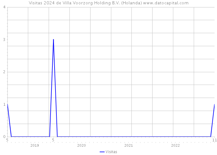 Visitas 2024 de Villa Voorzorg Holding B.V. (Holanda) 