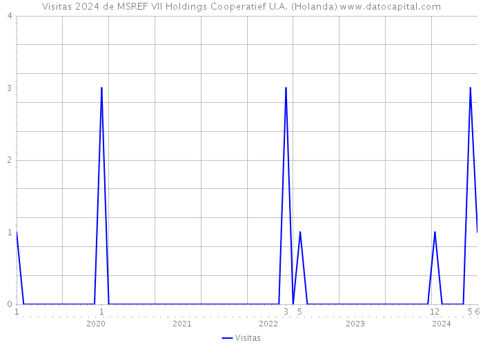 Visitas 2024 de MSREF VII Holdings Cooperatief U.A. (Holanda) 