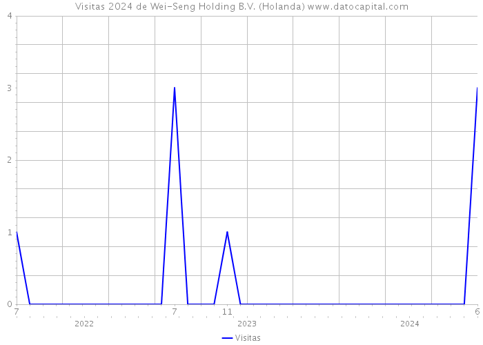 Visitas 2024 de Wei-Seng Holding B.V. (Holanda) 