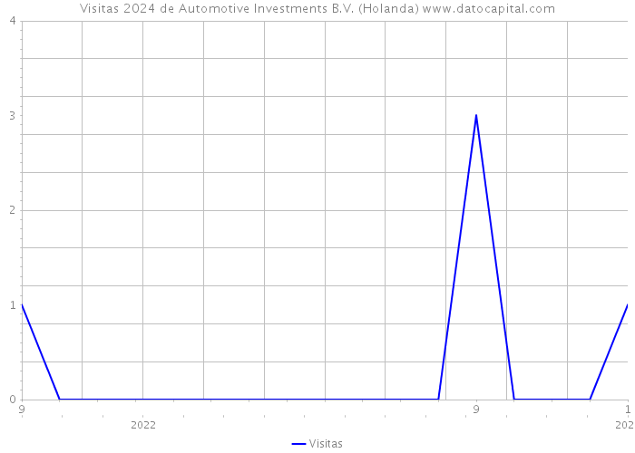 Visitas 2024 de Automotive Investments B.V. (Holanda) 