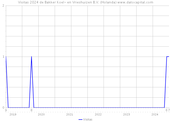 Visitas 2024 de Bakker Koel- en Vrieshuizen B.V. (Holanda) 