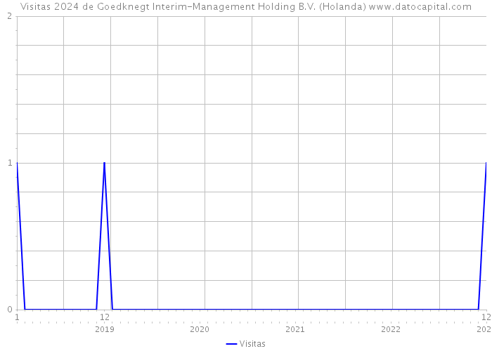 Visitas 2024 de Goedknegt Interim-Management Holding B.V. (Holanda) 