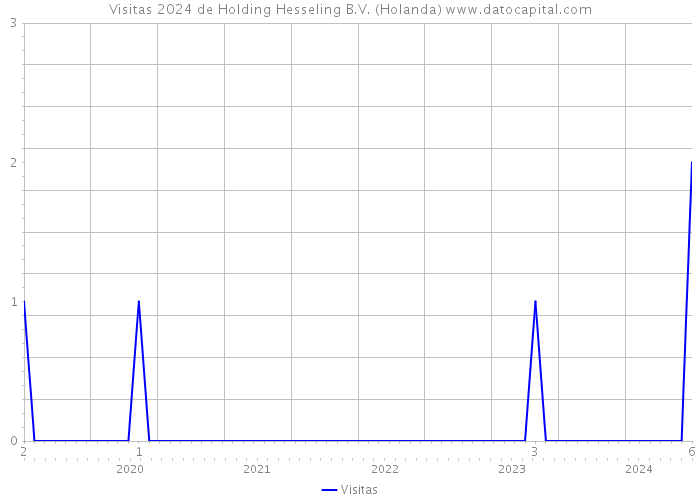 Visitas 2024 de Holding Hesseling B.V. (Holanda) 