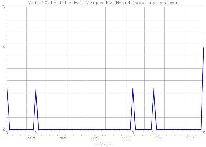 Visitas 2024 de Polder Hofje Vastgoed B.V. (Holanda) 