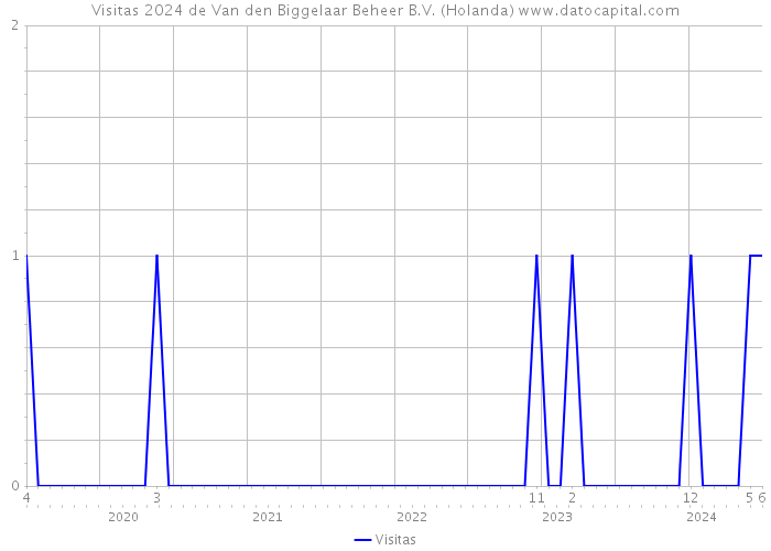 Visitas 2024 de Van den Biggelaar Beheer B.V. (Holanda) 